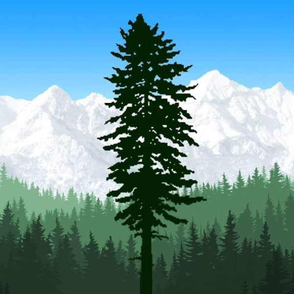 File:Images.png